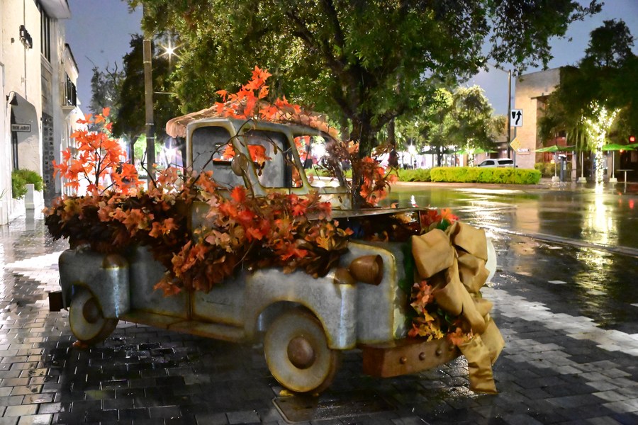 An autumn display beside the wet street