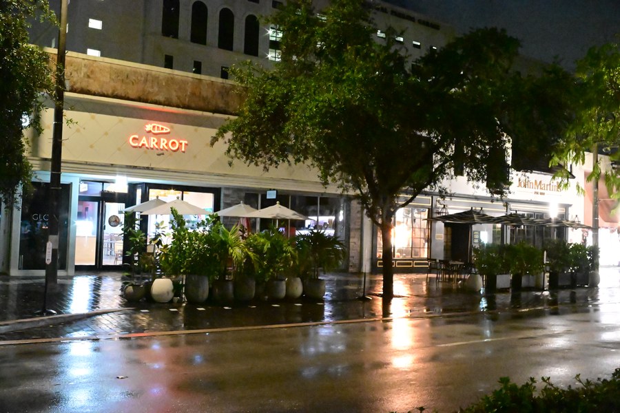 Shopfront lights beneath a tree across the rainy street