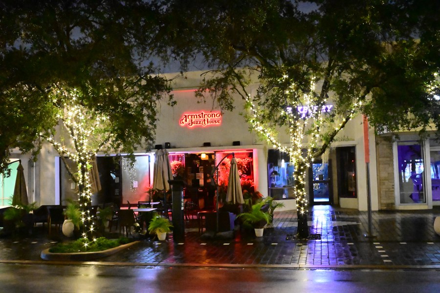 Restaurant lights reflected beneath a tree