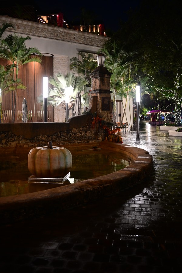 A pumpkin in the fountain beside a rain-darkened path